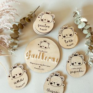 CONJUNTO PLACAS EVOLUTIVAS URSINHO