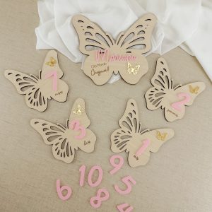 CONJUNTO PLACAS EVOLUTIVAS BORBOLETA