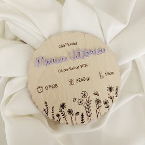 PLACA EVOLUTIVA DE NASCIMENTO