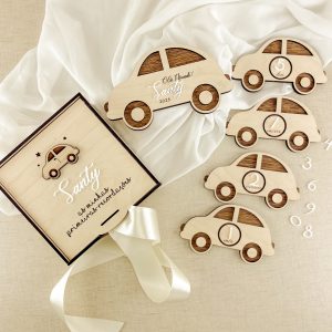 CONJUNTO PLACAS EVOLUTIVAS CARRO